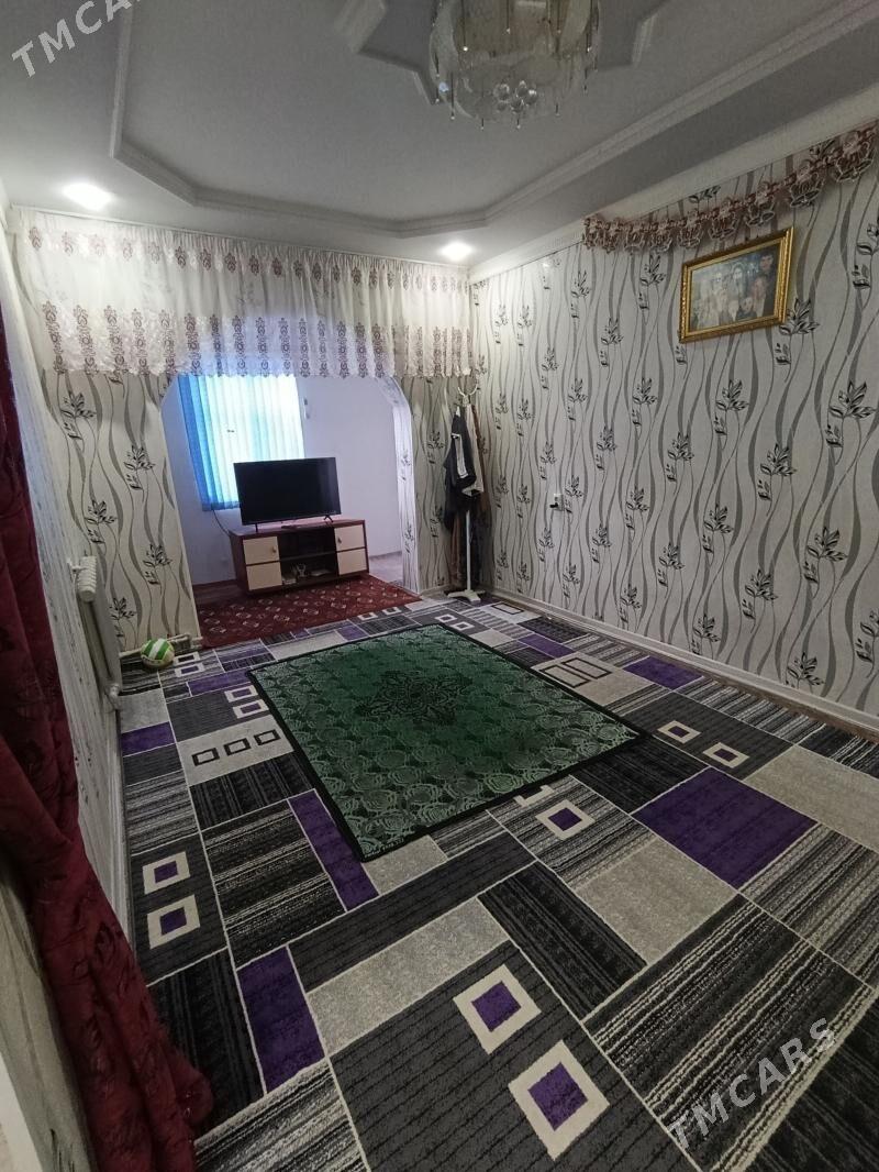 Arenda jay - Mary - img 1