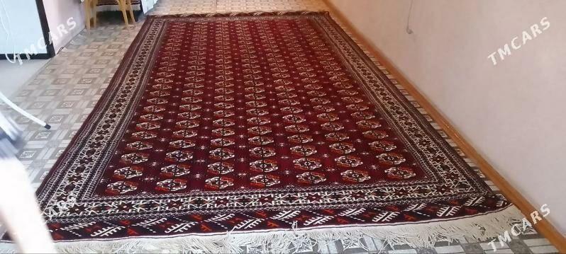 haly - Балканабат - img 1