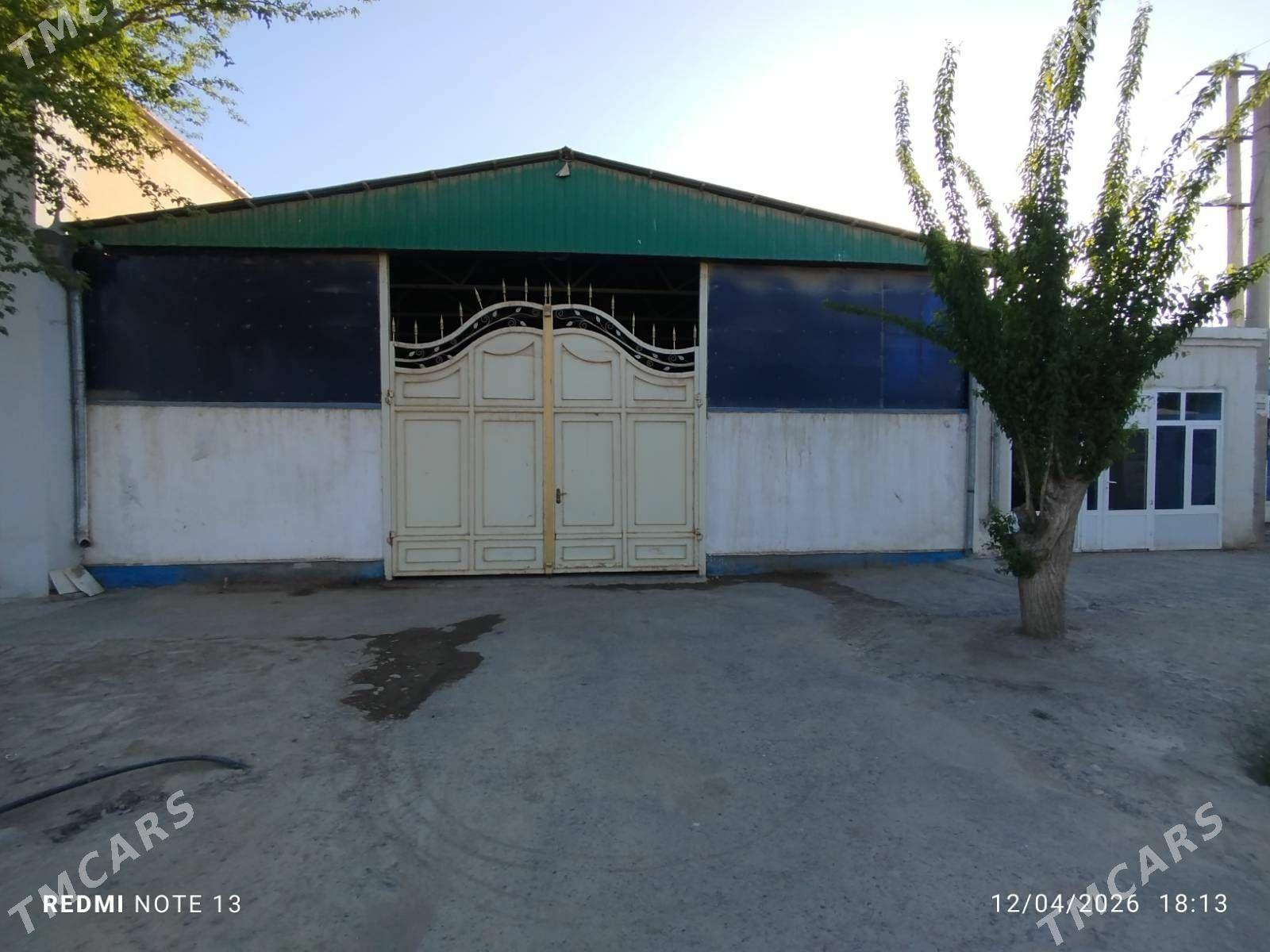 Jaý satmaly - Babadaýhan - img 1