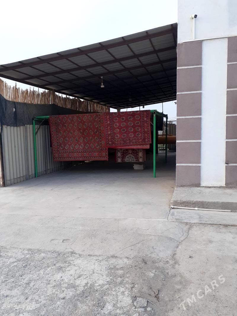 Haly yuwalga - Daşoguz - img 1