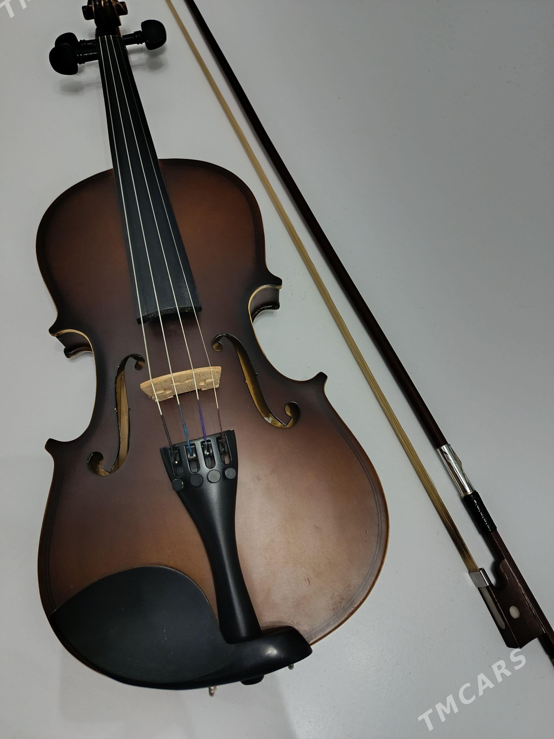 Skripka - Türkmenabat - img 1