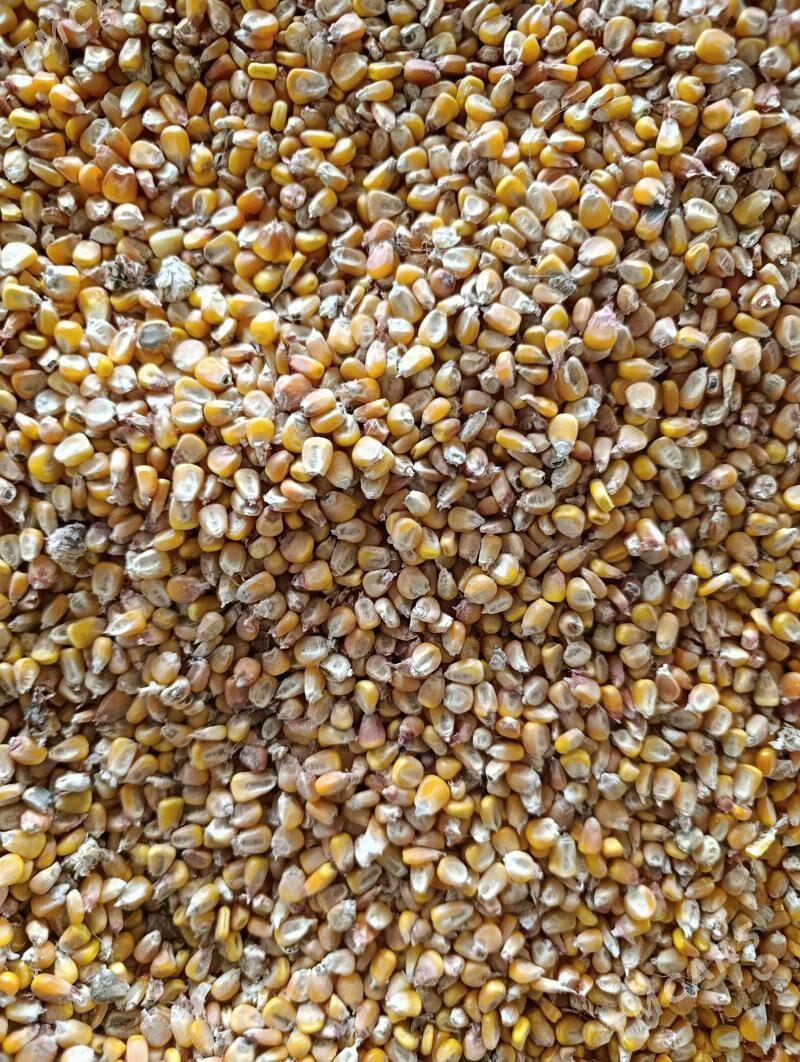 Mekge - Мары - img 1