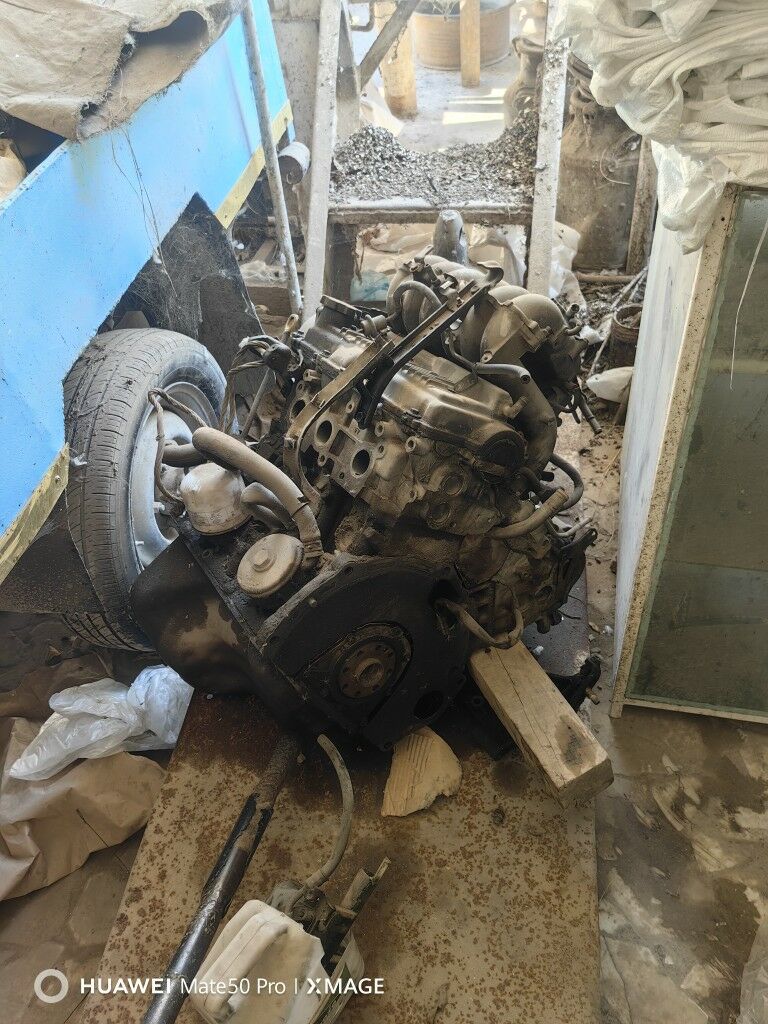 runner morda 111 TMT - Гёкдепе - img 1