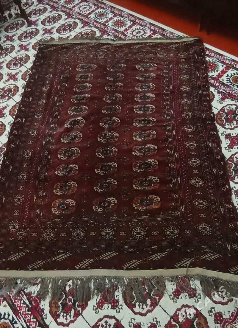 haly - Ашхабад - img 1