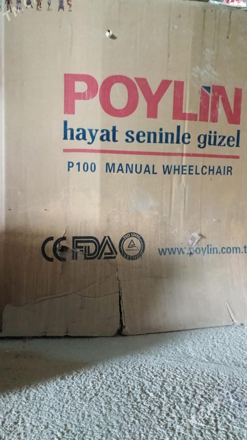 Maÿyplan̈ arabasy - Bäherden - img 1