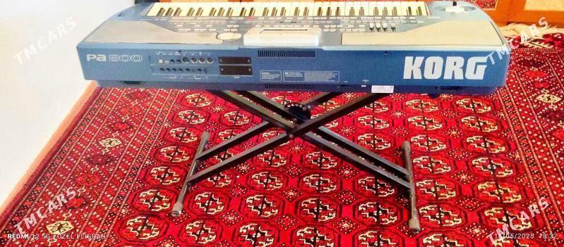 Korg pa800 - Эсенгулы - img 1