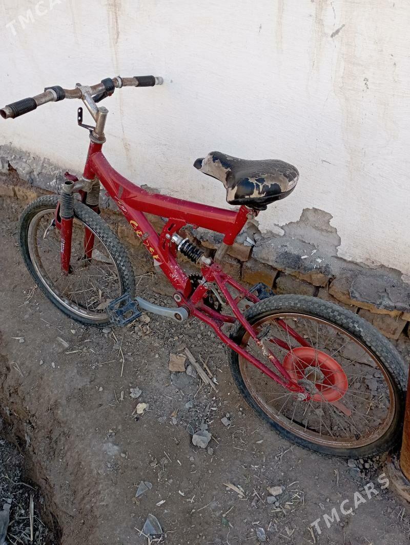 welsapet - Дашогуз - img 1