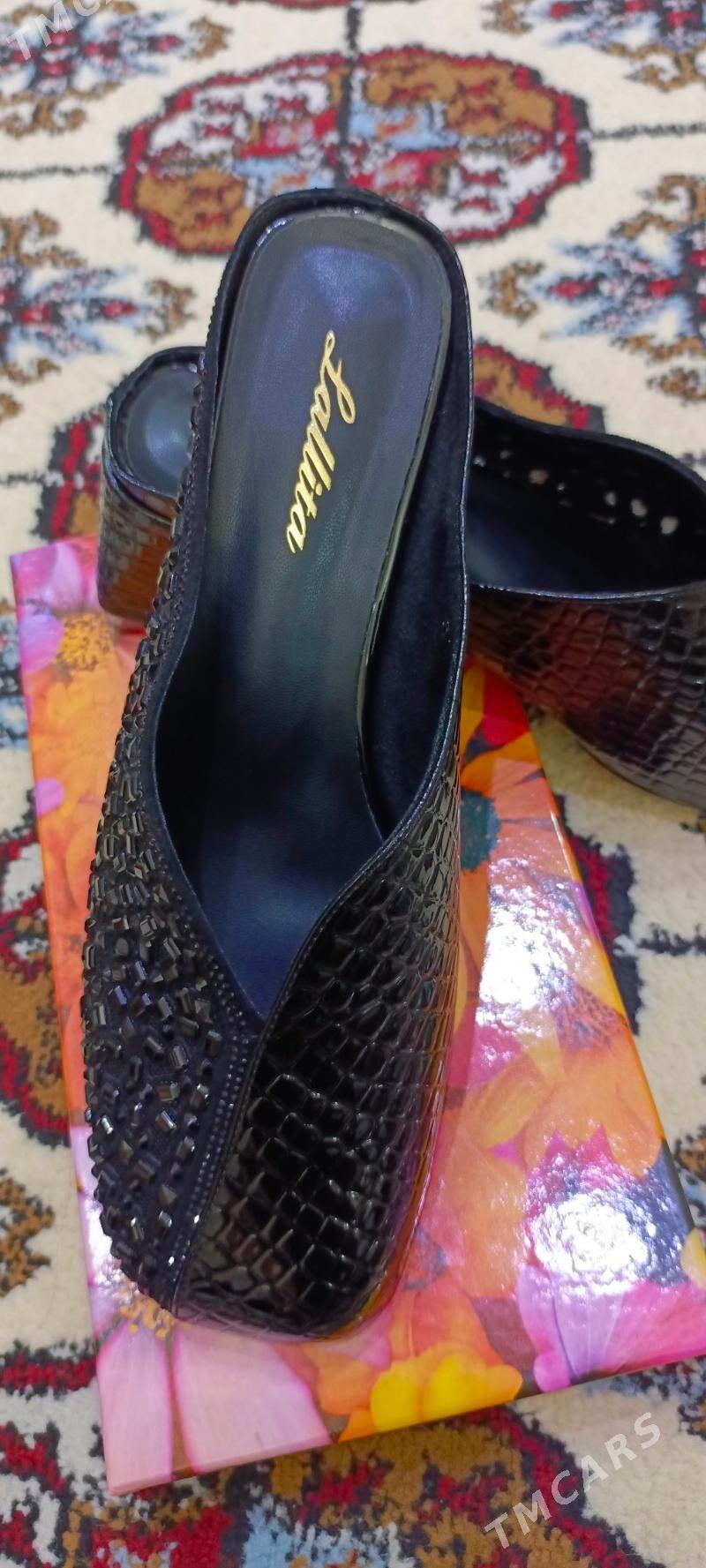 köwüş - Gurtly - img 1