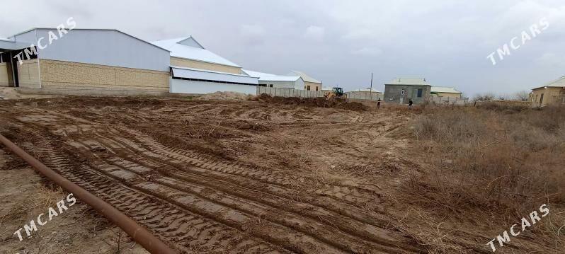 Bos mellek yer - Mary - img 1