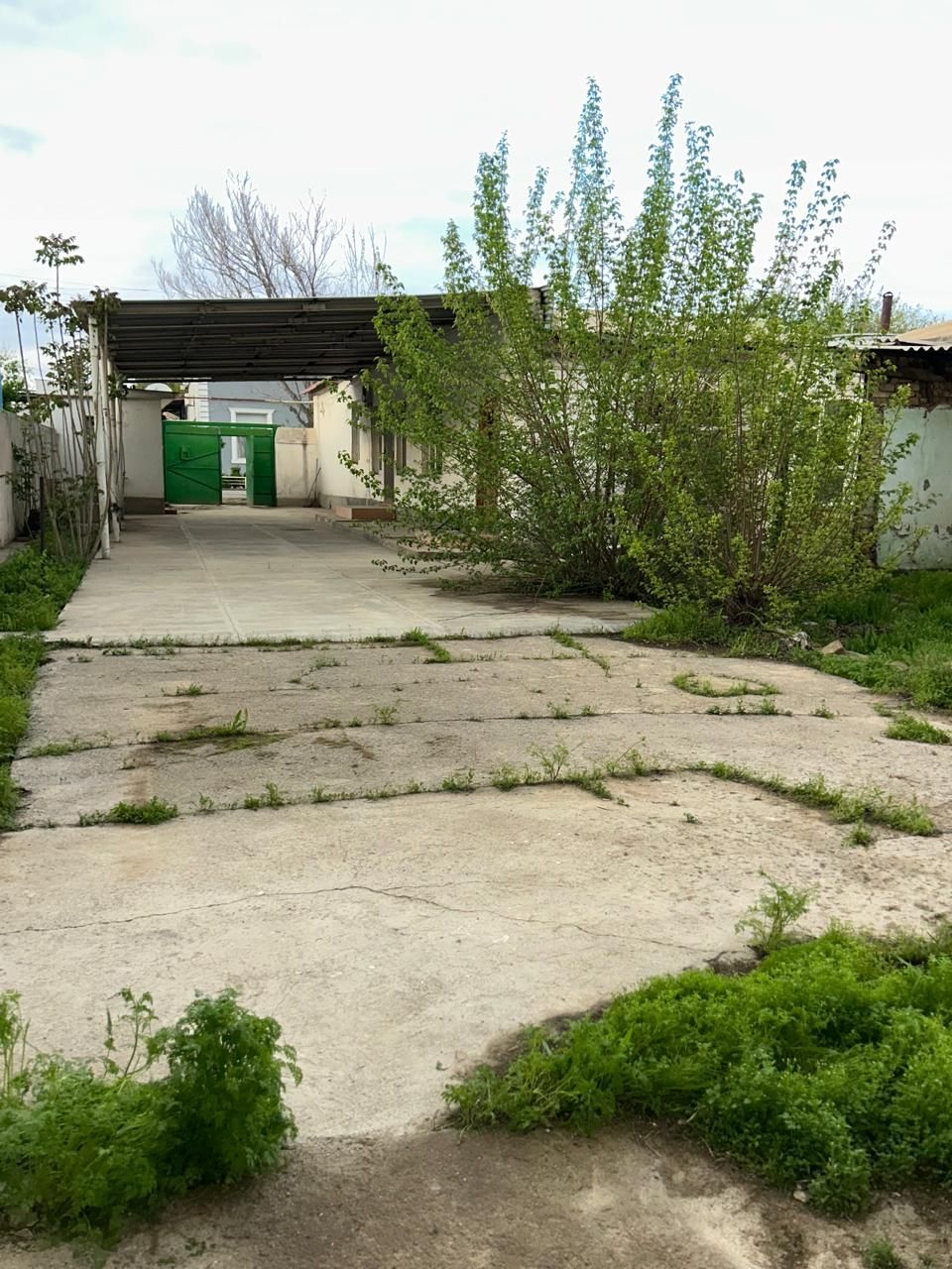 ДОМ АК АЛТЫН - Aşgabat - img 1