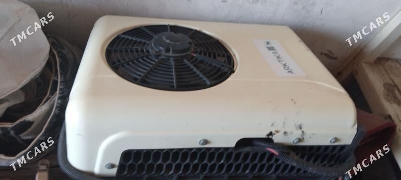 Kandisaner12v - Mary - img 1