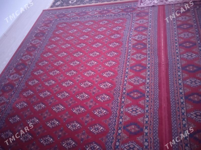 Haly - Daşoguz - img 1