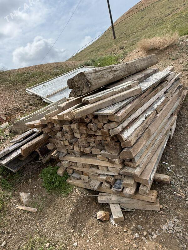 Agaclar burslar - Туркменбаши - img 1