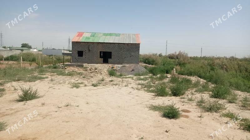 gazly daca satlyk - Анев - img 1