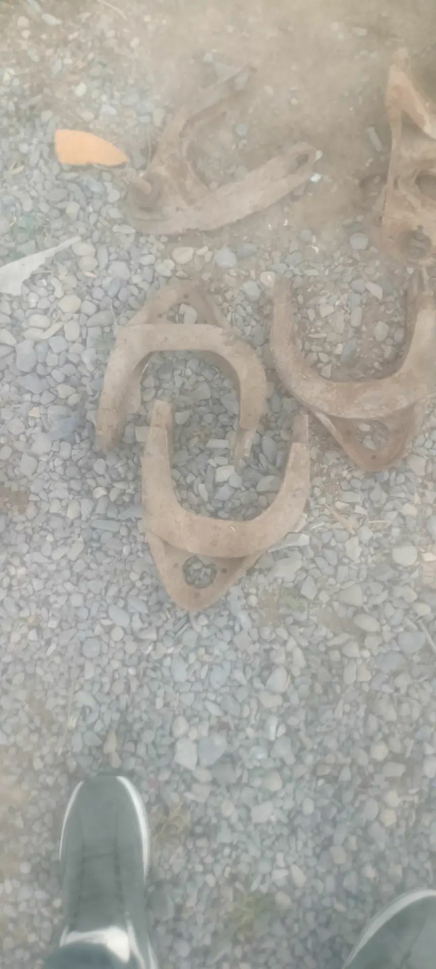 Lada morda 500 TMT - Бахарден - img 1