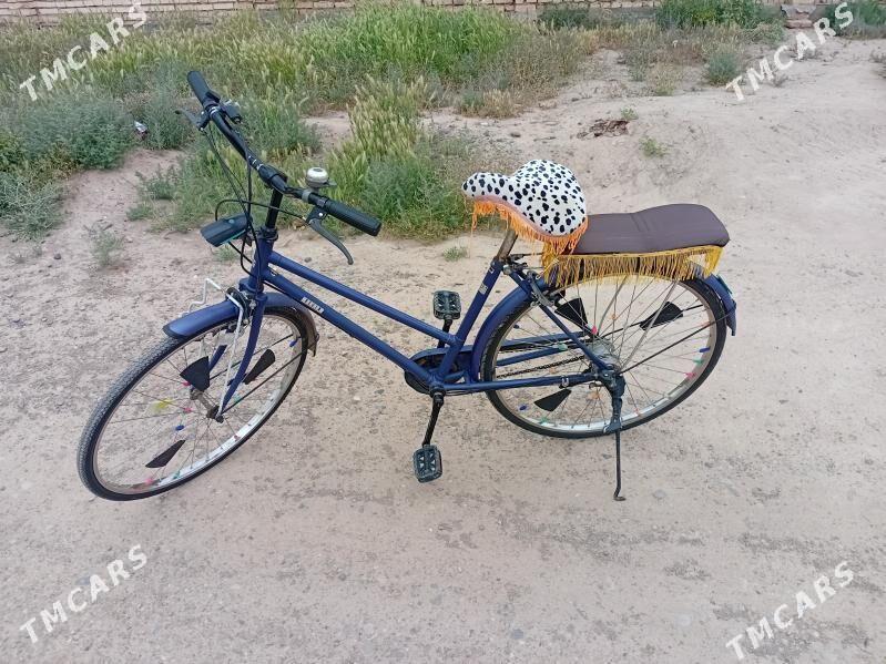 welsopet - Серахс - img 1