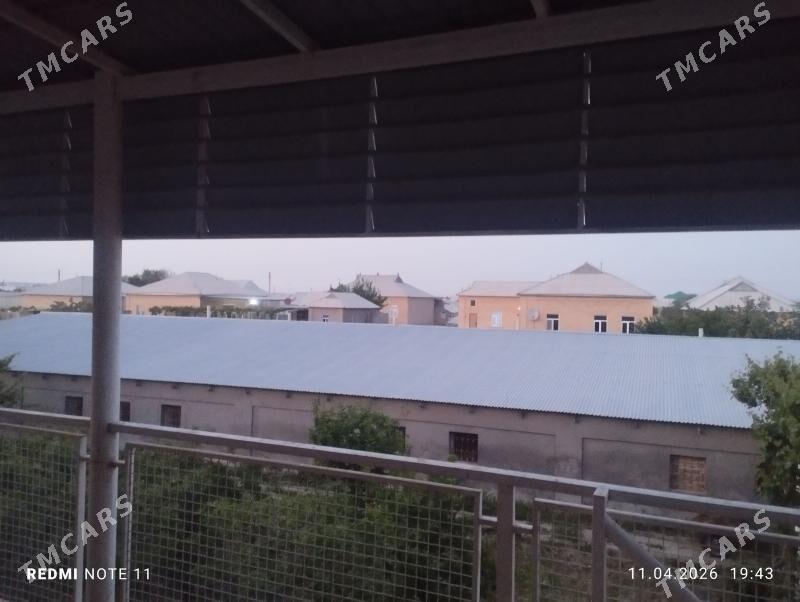 arenda seh sakarçäge - Сакарчага - img 1