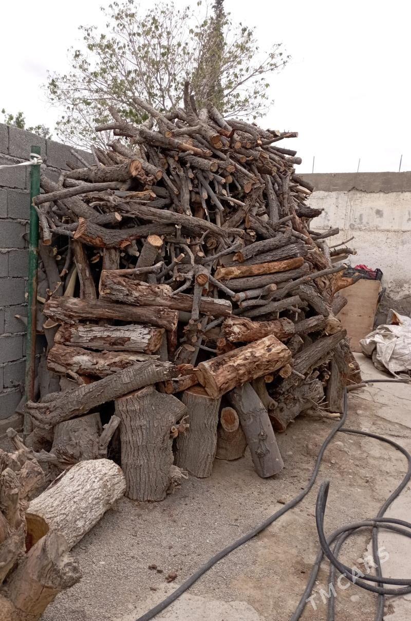 Odun - Ашхабад - img 1