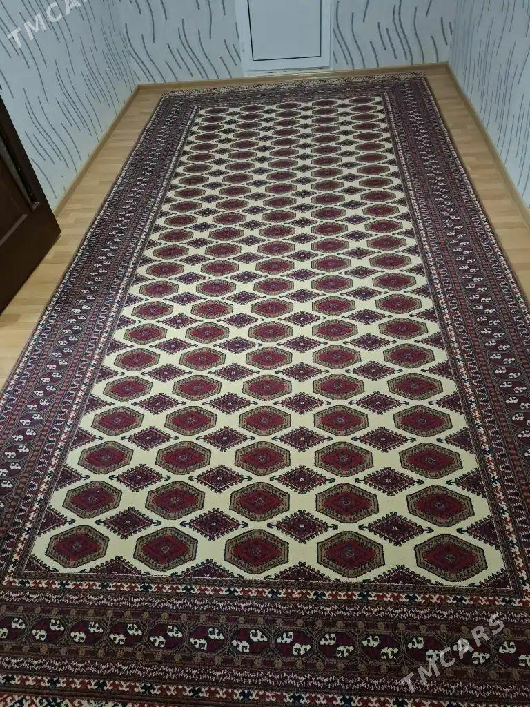 haly - Gumdag - img 1