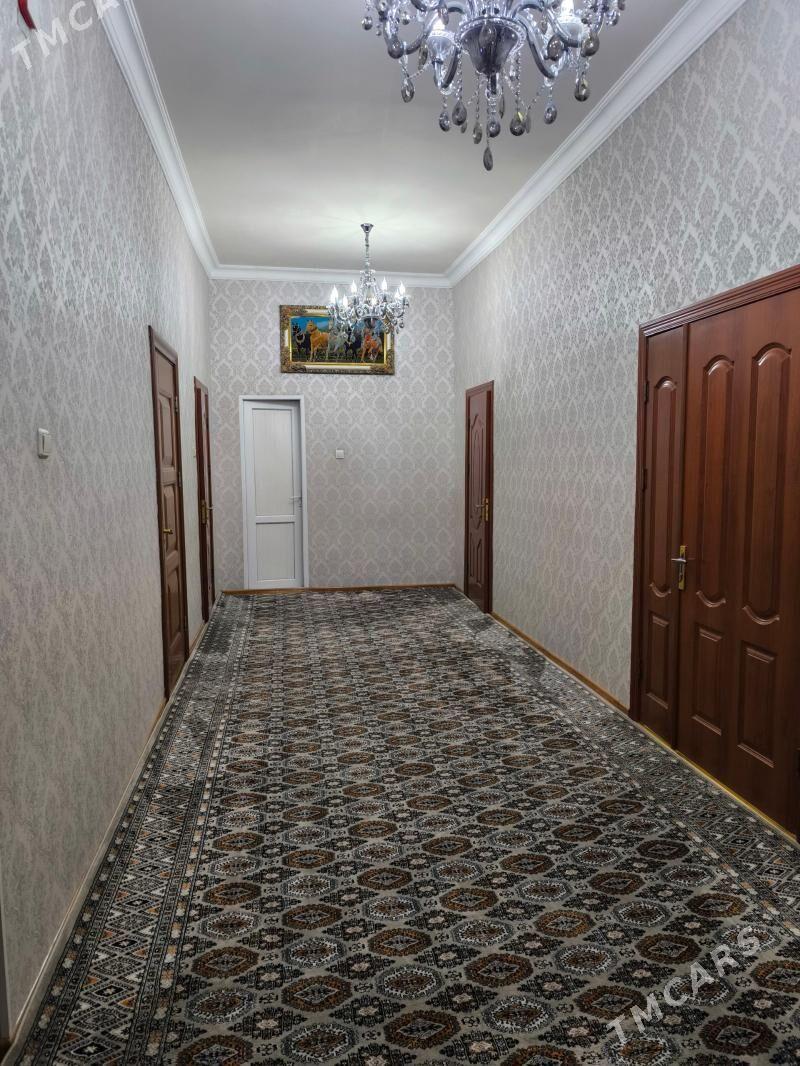 jaý elitka - Daşoguz - img 1