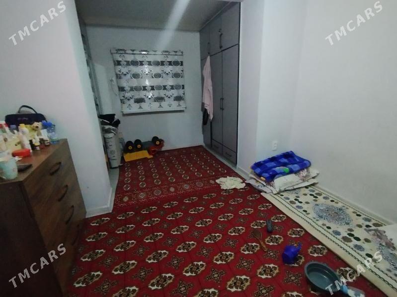 Satlyk jay - Mary - img 1