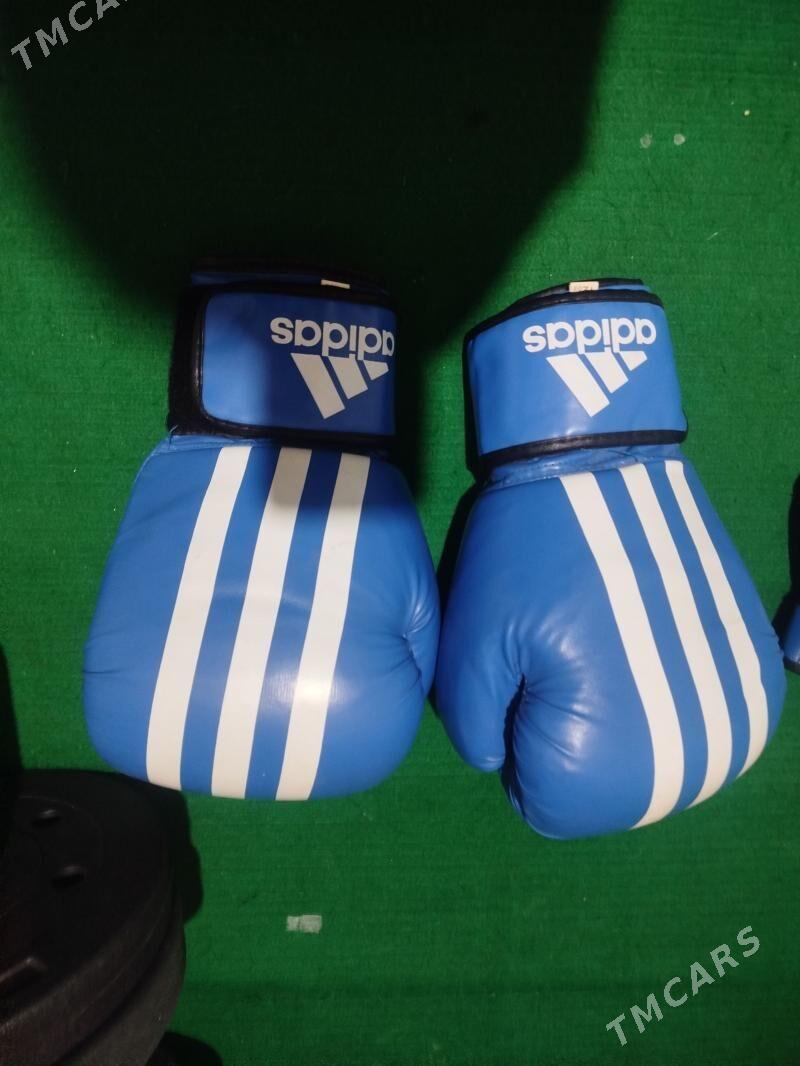 grusa percatka - Daşoguz - img 1