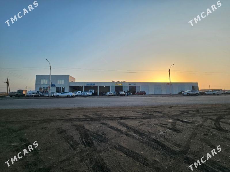 wulkanizasiya - Mary - img 1