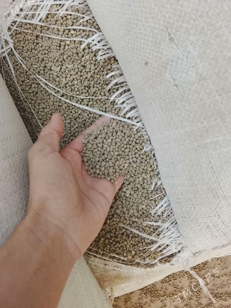 MÄŞ - Саят - img 1