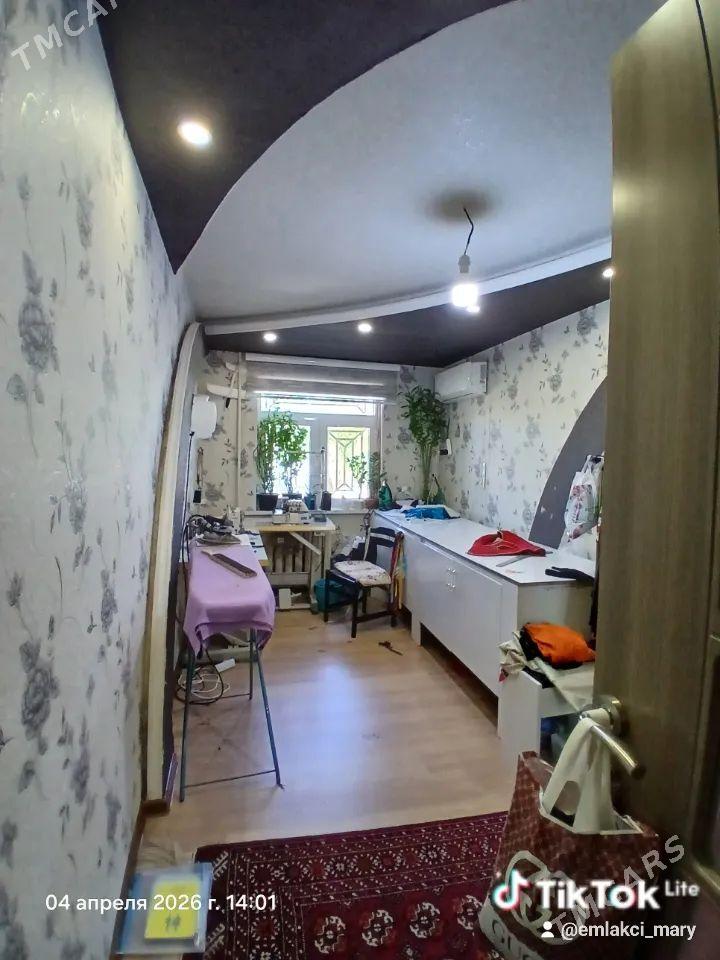 Satlyk jay - Mary - img 1