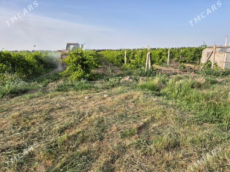 GETDAR - Кипджак - img 1