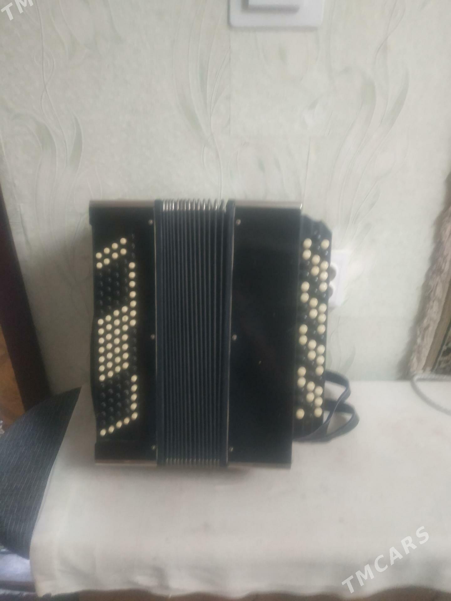 Баян - Туркменабат - img 1