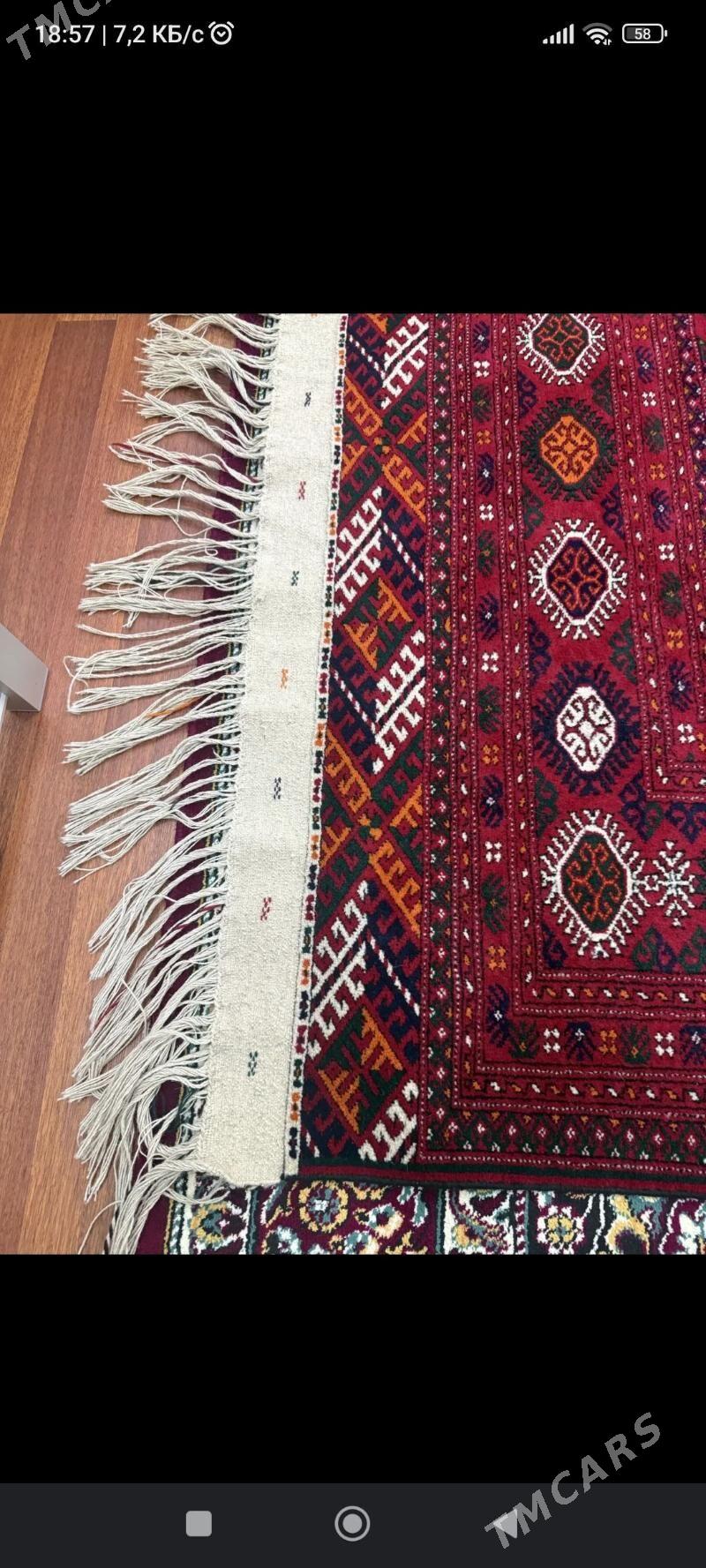 ЭЛ ХАЛЫ - Анев - img 1