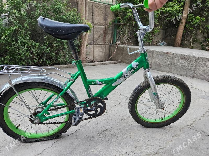 Tigir 16 lyk - Мир 3 - img 1