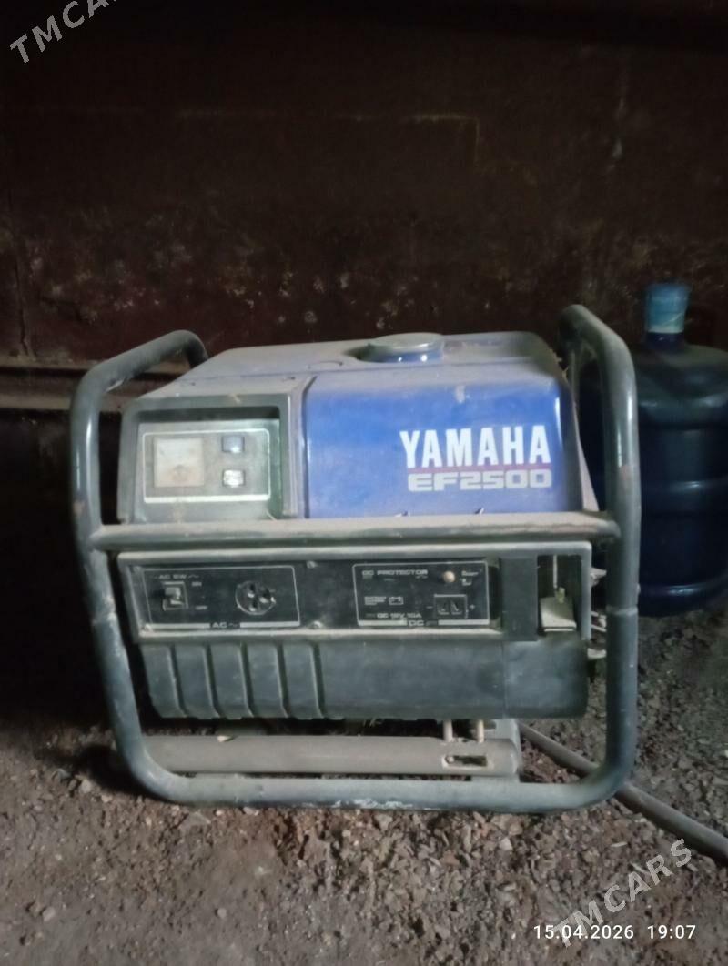 Dwişok tok onduryar - Mary - img 1