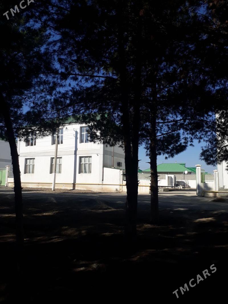 Gökdepe kottež jaý satlyk - Гёкдепе - img 1