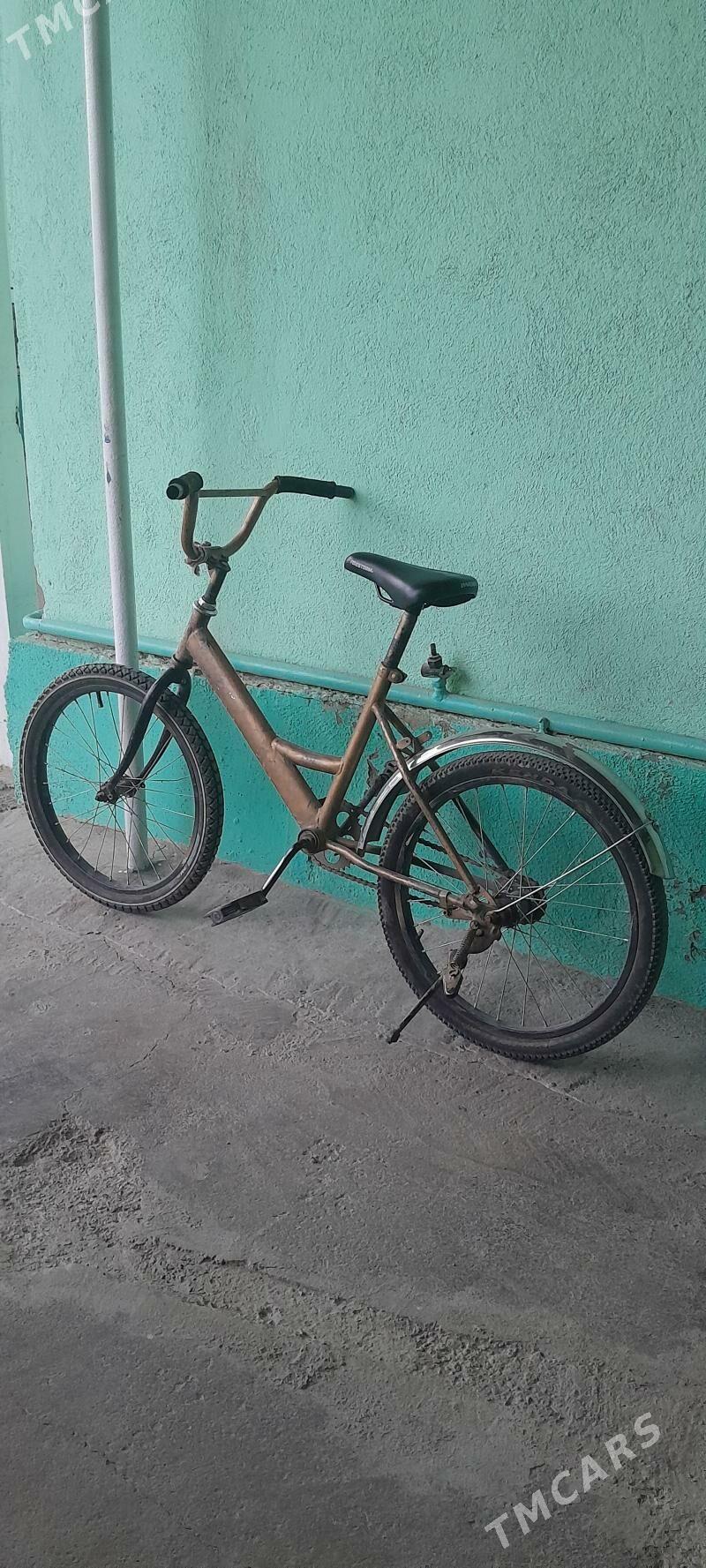 stels tigir - Çoganly - img 1