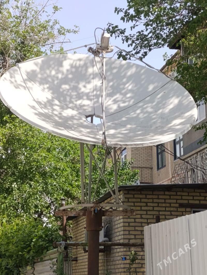 uly tarelka - Mary - img 1