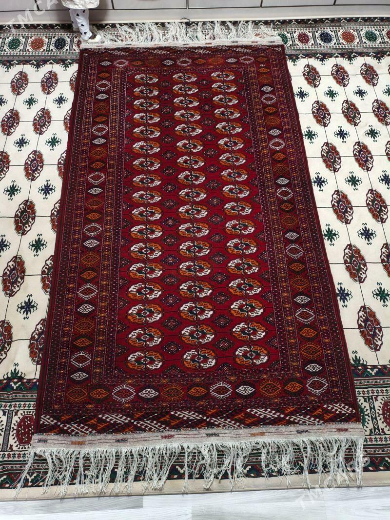 el haly - Бахарден - img 1