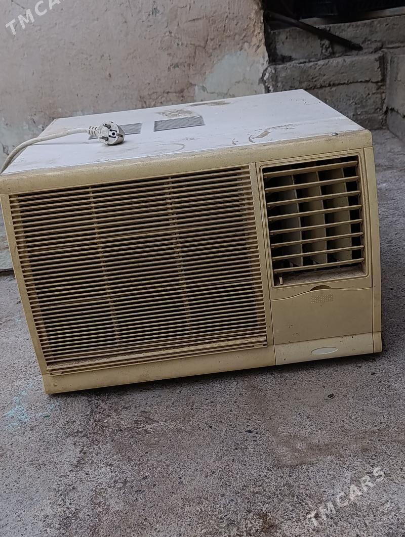 kiçi kansaner - Bagyr - img 1