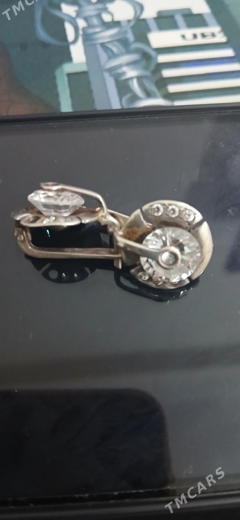 Kümüş gulakhalka - Мир 8 - img 1