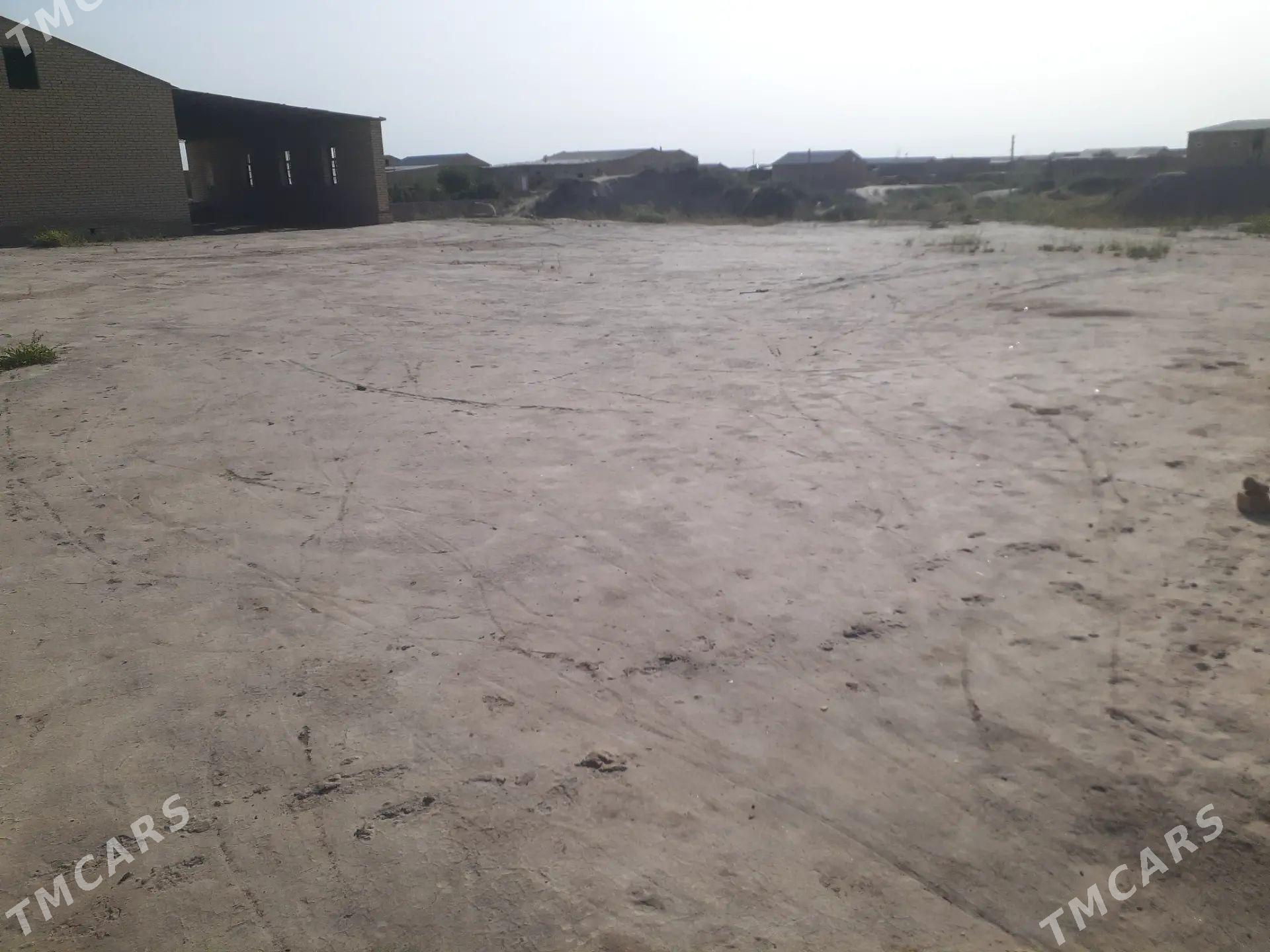 boş mellek - Halaç - img 1