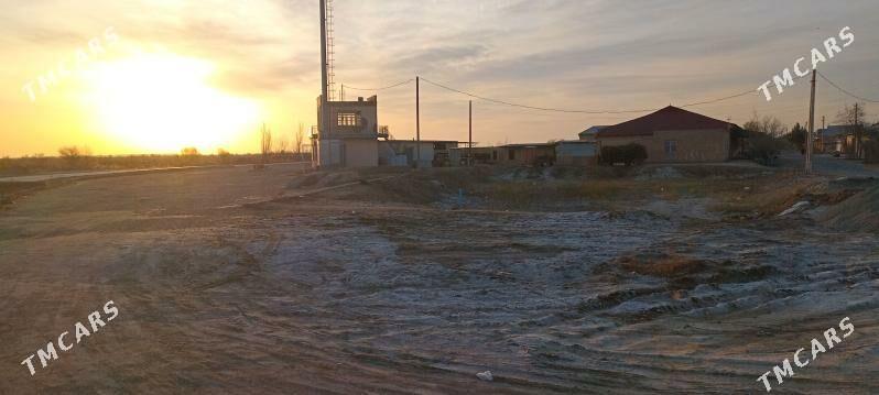 продаётся меллек - Дянев - img 1