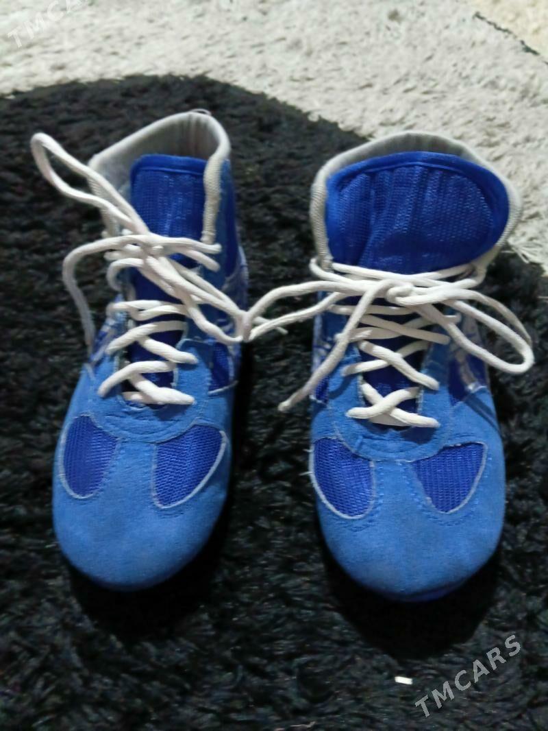 barsofga - Bagyr - img 1