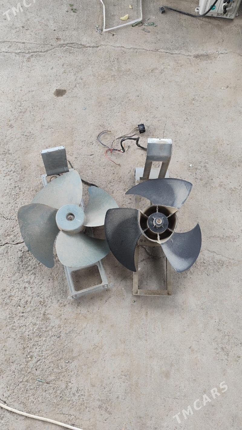 80 LIK KANSANER LOPUSY - Ашхабад - img 1