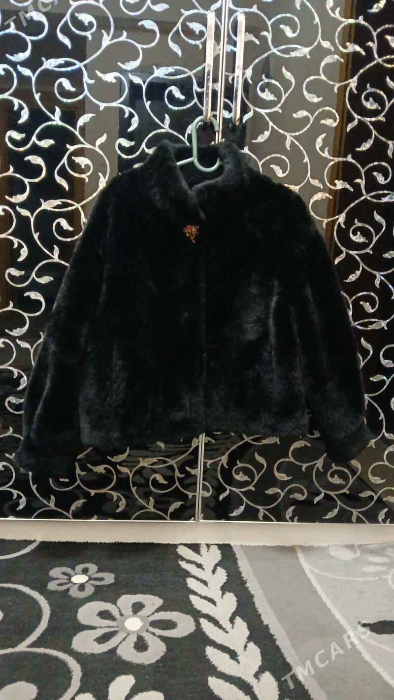 Şuba - Кëши - img 1