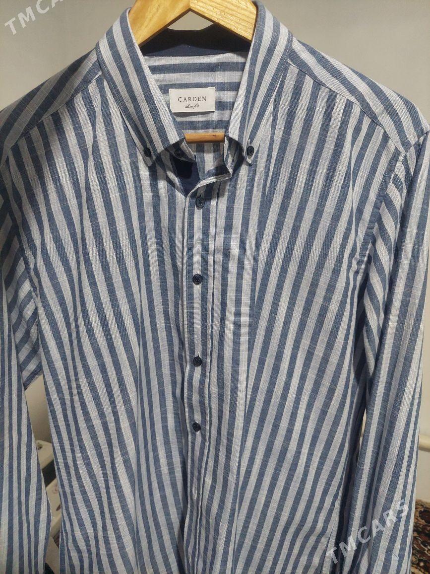 carden kóynek - Туркменбаши - img 1