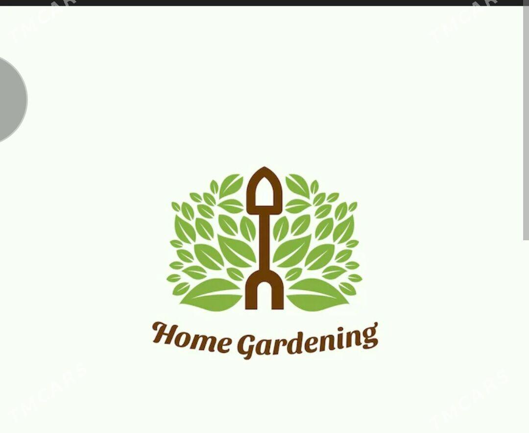 Bagban_Содовник - Ашхабад - img 1