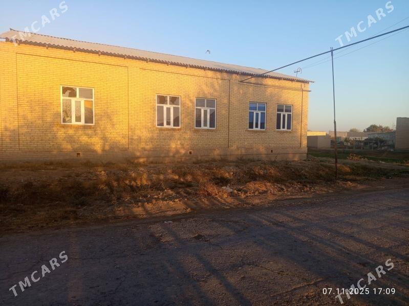 jay mellek - Saýat - img 1