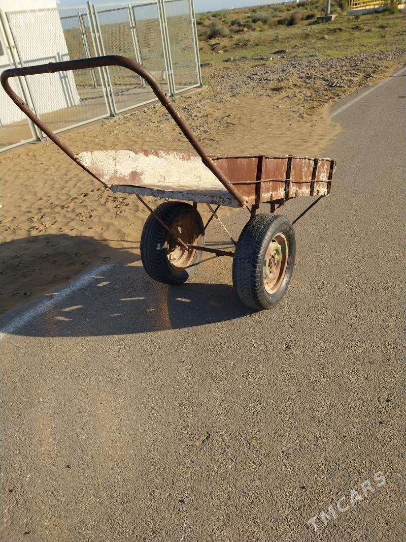 Araba - Ak bugdaý etraby - img 1