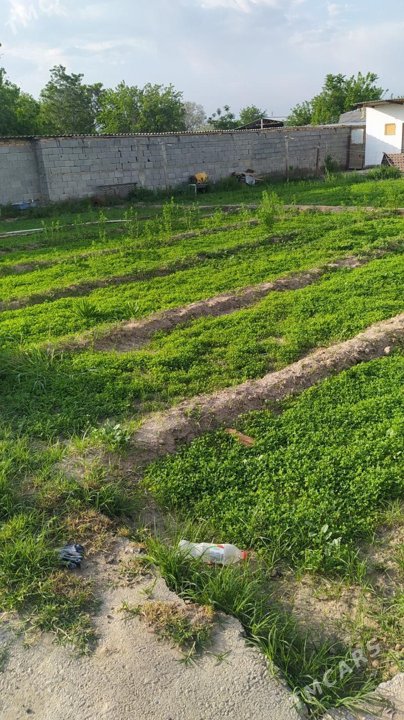 arenda yer - Гуртли - img 1